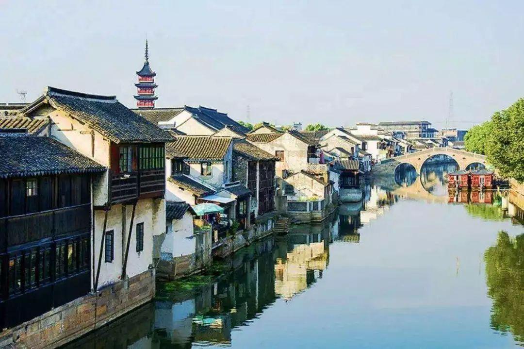 动物帮帮忙保卫家园